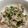 takkosan♪'s cooksnap of when they made 簡単！水菜と豚肉のレンチン蒸し.