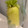 あいぇな's cooksnap of when they made 大根を保存しましょう.