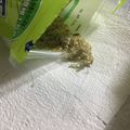 葉月優希's cooksnap of when they made 釜揚げシラスの天日干しでちりめんじゃこ.