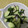 じゅんともた's cooksnap of when they made きゅうりの塩昆布和え.
