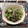 ☆hikonyan☆'s cooksnap of when they made たくさん食べて♪小松菜のゴママヨ和え.