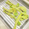 〜みみ〜's cooksnap of when they made 山菜☆コゴミとタラの芽の天麩羅☆.