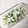 acacia_hg's cooksnap of when they made 基本のほうれん草の白和え.