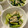 CHISA☆ごはん♪'s cooksnap of when they made 小松菜とえのきのナムル.