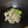 クック999EWG☆'s cooksnap of when they made 藤の花の天ぷら（簡単・旨い・話題性）.