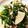 クックDKWVGR☆'s cooksnap of when they made たけのことほうれん草のバターしょうゆ炒め.