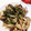 クックE662AA☆'s cooksnap of when they made きのこのガーリック炒め.