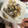 くうandホームズ's cooksnap of when they made あさりの酒蒸し♪.