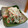 ナカミチ's cooksnap of when they made タラノメの白和え.