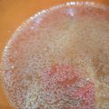 ぬっぴ☆'s cooksnap of when they made 残ったラーメンスープで中華スープ.