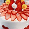 リンリンレンレン's cooksnap of when they made スポンジケーキ〜シフォン仕立て〜.