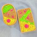 〜みみ〜's cooksnap of when they made ゆかりで染めるピンクの大根*お弁当にも.
