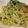フランダースの熊's cooksnap of when they made かにみそパスタ.