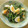 ねこのおかあさん☆'s cooksnap of when they made ほうれん草と茹で卵のサラダ.