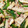 yukari527's cooksnap of when they made たけのことピーマンのおかず炒め.