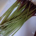 ひっこ's cooksnap of when they made ふきの下処理と保存.