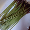 ひっこ's cooksnap of when they made ふきの下処理と保存.