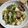 たまわか！'s cooksnap of when they made 豚肉とキャベツとしめじの豆腐炒め.