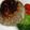 yummy?'s cooksnap of when they made 新玉ジュワッち☆基本のハンバーグ！.