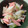 ＭＩ−ＳＡＮ's cooksnap of when they made 長ネギと魚肉ソーセージ炒め.
