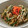 yokoyoko76's cooksnap of when they made にら焼きそば.