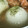 harapecoci's cooksnap of when they made 新玉ねぎの丸ごとスープ.