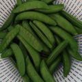 keiko513's cooksnap of when they made 水っぽくならないスナップえんどうの茹で方.