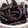 ひっこ's cooksnap of when they made 簡単わらびの胡麻油炒め.