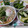 はにゅーだ's cooksnap of when they made しらす干しとみょうがと大葉のまぜまぜ.