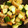クックJOJKX6☆'s cooksnap of when they made 簡単！きゅうりとチーズの梅ザーサイ和え.