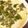 クック1LD90C☆'s cooksnap of when they made 超簡単レンジで ニラ玉豆腐茶碗蒸し.