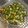 るんマリ's cooksnap of when they made おもてなしにも　野菜のテリーヌ.