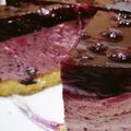 みっちゃんだよ～'s cooksnap of when they made ブルーベリームースケーキ♪.