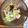 hippo222's cooksnap of when they made 【残野菜】白菜の塩昆布ピリうま浅漬け.