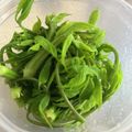 パンコパンダ's cooksnap of when they made 山菜・木の芽(コシアブラ)おひたし♪春味.