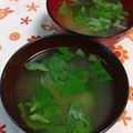 赤い電話's cooksnap of when they made 大葉お味噌汁.