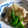naocolin's cooksnap of when they made 白だしで簡単✿ふきと油揚げの含め煮✿.