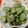 ♡ともりん's cooksnap of when they made 覚えておこう！　　そら豆のゆで方.