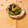 yesmama's cooksnap of when they made (たけのこの)姫皮の酢の物.