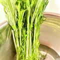 悠LOVE航's cooksnap of when they made 水菜保存〜使うまで(洗い方),.