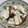 takkosan♪'s cooksnap of when they made 簡単！あえるだけ！長いもの塩昆布あえ.
