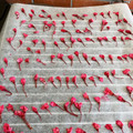 チャコりんりん's cooksnap of when they made * 八重桜 ❤ 桜の花の塩漬け♪.