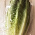 クック9LMJA3☆'s cooksnap of when they made ロメインレタスと生ハム簡単シーザーサラダ.