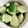 ちゃろみん's cooksnap of when they made 1分でできる塩ダレきゅうり.