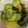 クック01CWCY☆'s cooksnap of when they made 黒きくらげと甘夏のサラダ.