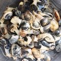 knkmym's cooksnap of when they made ペットボトルで簡単計量！あさりの砂抜き.