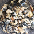 knkmym's cooksnap of when they made ペットボトルで簡単計量！あさりの砂抜き.
