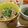 まっさーみ's cooksnap of when they made 簡単辛くない＊子供と一緒に麻婆茄子風丼.