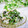Satoco❋'s cooksnap of when they made きゅうりとツナの和え物♪.