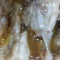 セグちゃん's cooksnap of when they made 焼肉のタレで簡単☆手羽元のピリ辛煮.